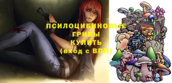 бутират Каменногорск